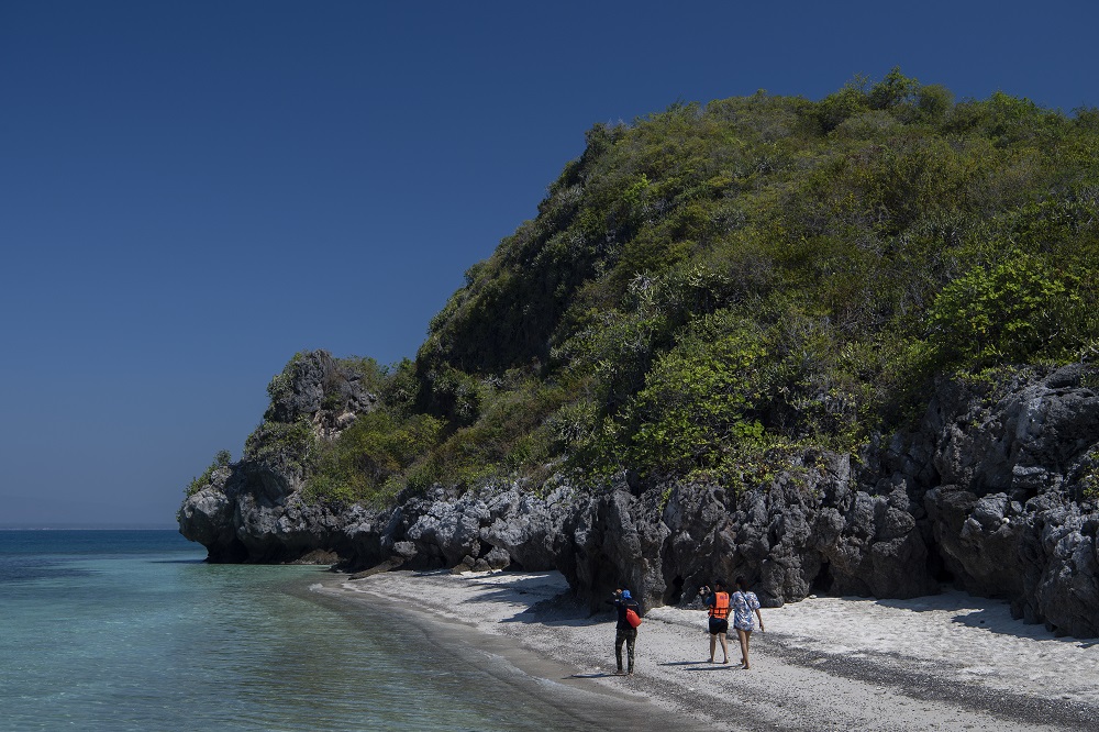 เริ่มแล้ว กิจกรรมดำน้ำดูปะการัง (snorkeling) เกาะจาน-เกาะท้ายทรีย์